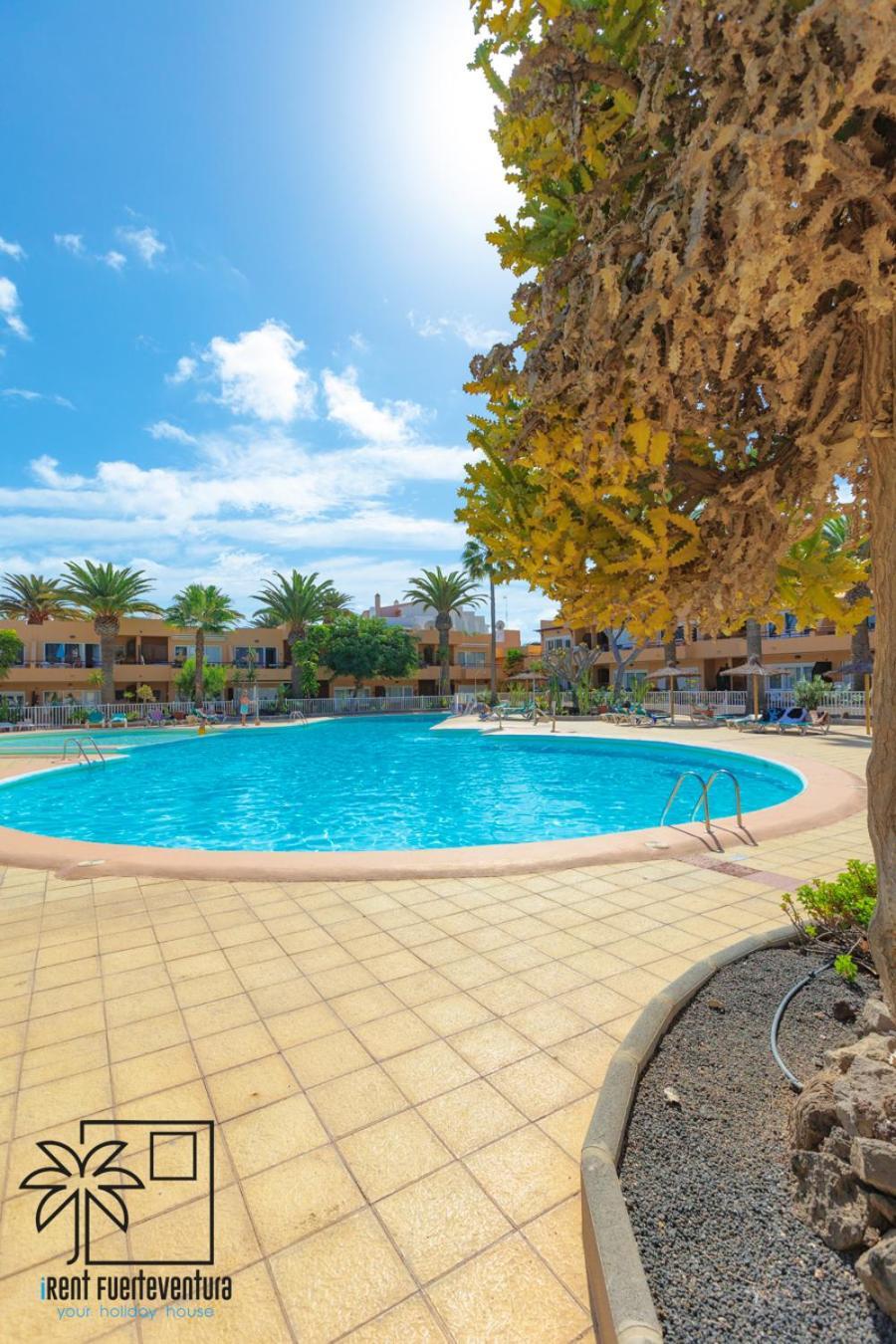 Hola Bent Pool And Terrace Irent Fuerteventura Appartement