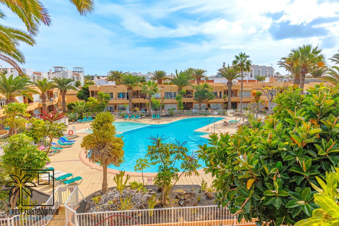 Hola Bent Pool And Terrace Irent Fuerteventura Appartement Corralejo